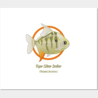 Tiger Silver Dollar Posters and Art